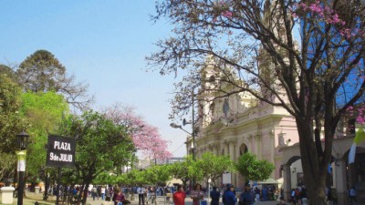 El Vivero Municipal de Salta reforestará los espacios verdes de la ciudad con especies autóctonas