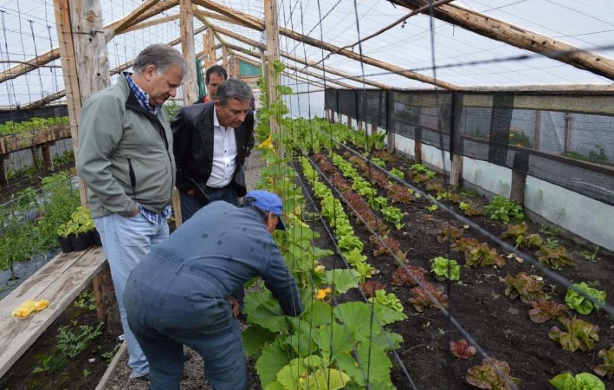 Provincia fomentará la producción de hortalizas en Tecka