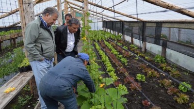 Provincia fomentará la producción de hortalizas en Tecka