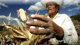 Sin lugar para los pequeños