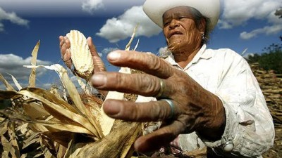 Sin lugar para los pequeños