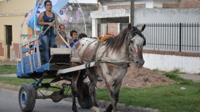 Quieren erradicar los carros traccionados por caballos en Paraná