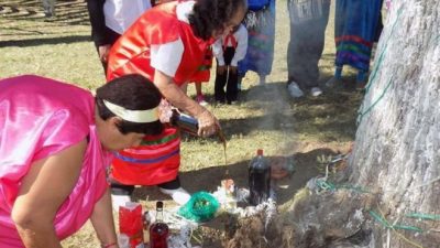 Noveno encuentro de pueblos originarios en Libertador