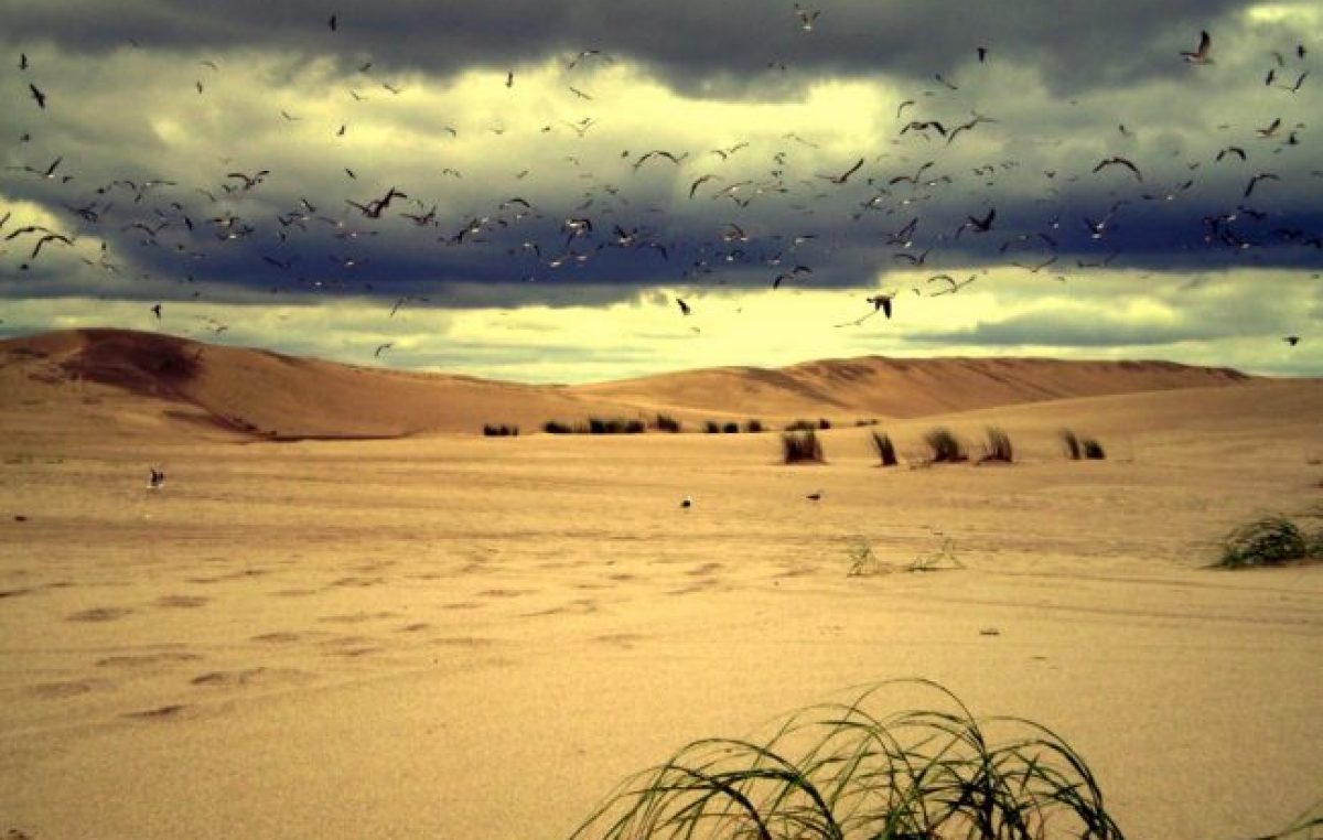 En Villa Gesell pelean por declarar Parque Nacional a los predios del sur de la ciudad