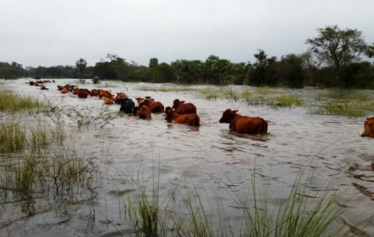 Las constantes lluvias complican a pueblos del centro-norte santafesino