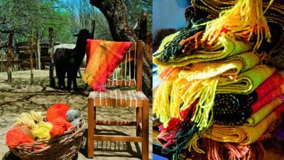 Exposición y venta de artesanías y productos andinos de San Antonio de los Cobres