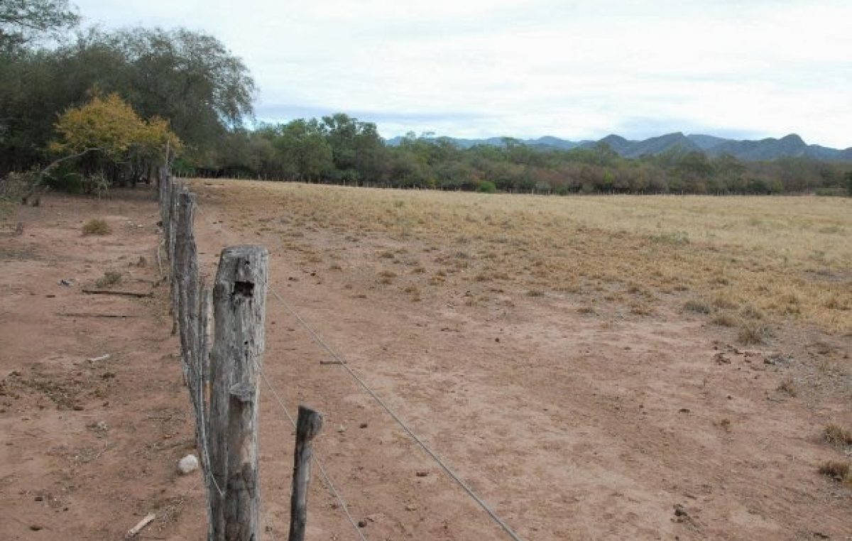 Jujuy: Grave sequía afecta a los productores puneños