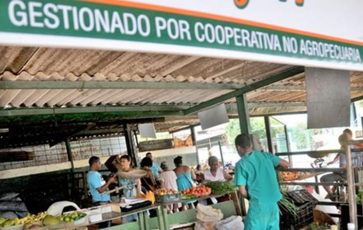 Cooperativas cubanas consiguen importar con el aval del Estado