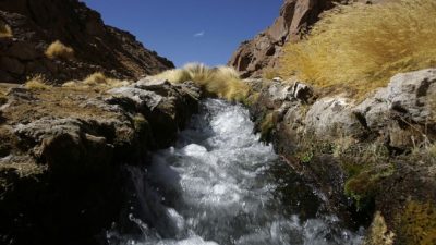 Chile demanda a Bolivia en La Haya por las aguas de un río