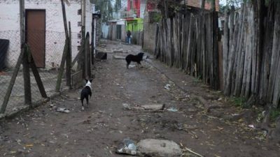 Tigre: El riesgo del country vecino