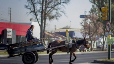 Municipio de Tucumán y Nación buscan resolver la situación de los «carreros»