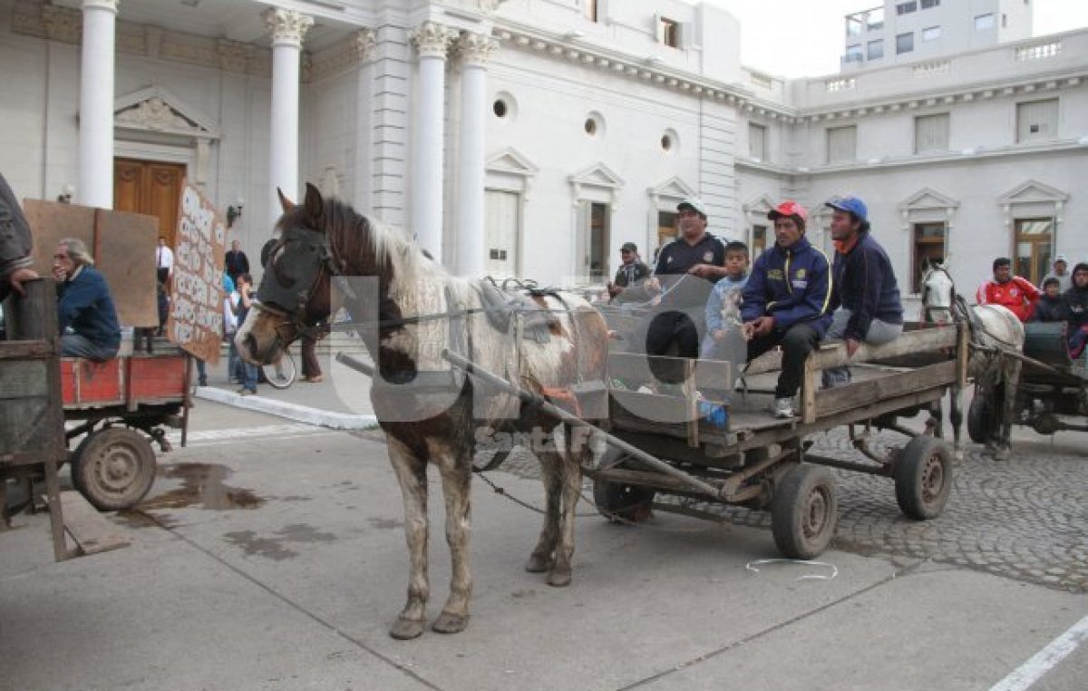 Carreros santafesinos quieren defender el cirujeo como su fuente de trabajo