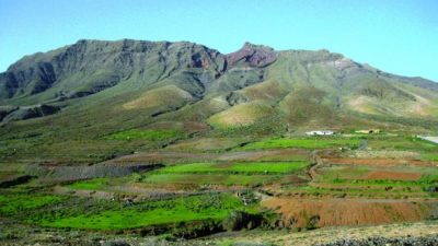 Del campo a la guarida fiscal