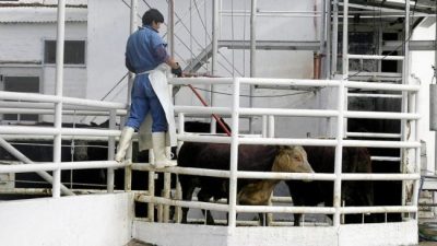 Centenario: le dan otro mes más de vida al matadero municipal