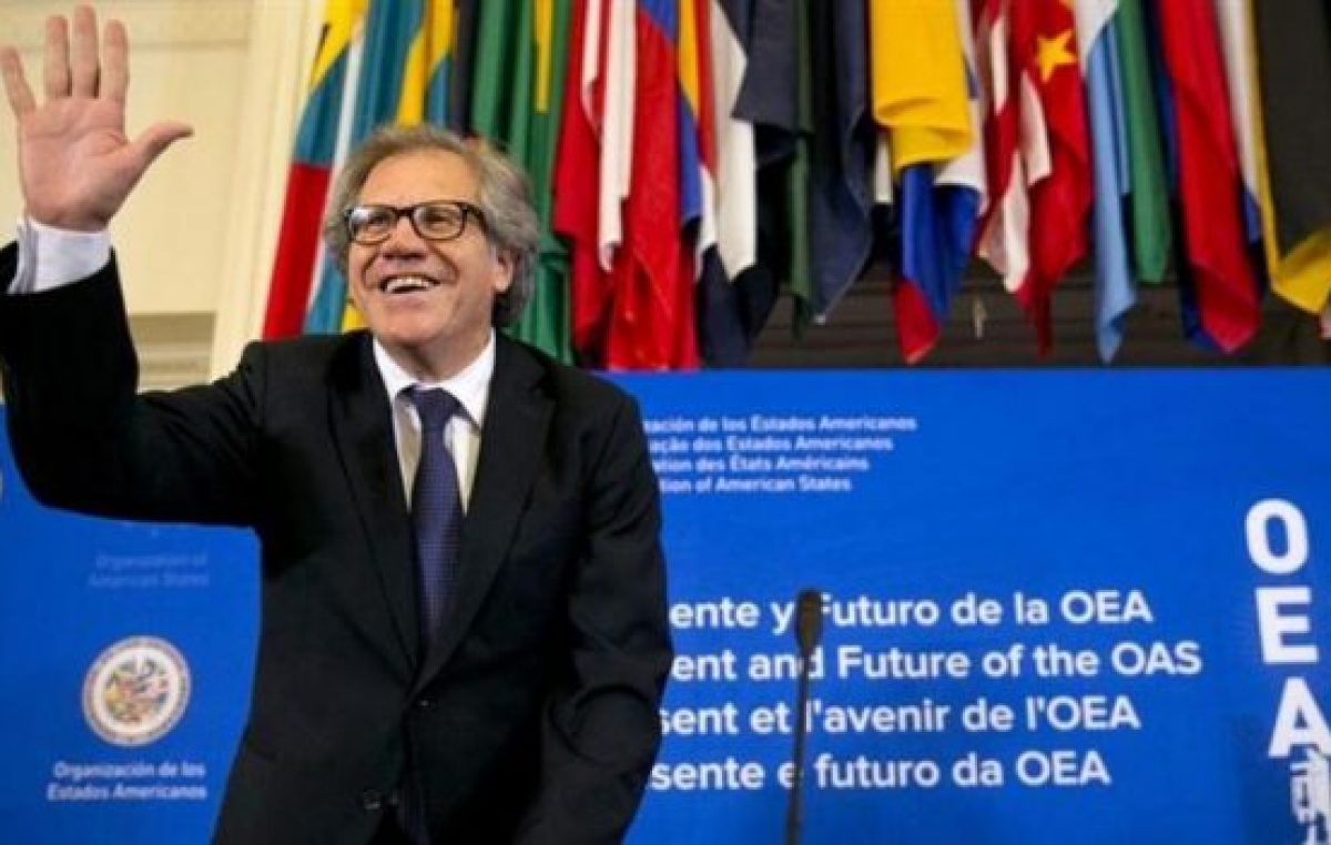 Milagro Sala: la OEA pidió su «inmediata» liberación