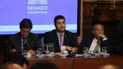 Blanqueo: freno en el Senado al decreto de Macri por familiares