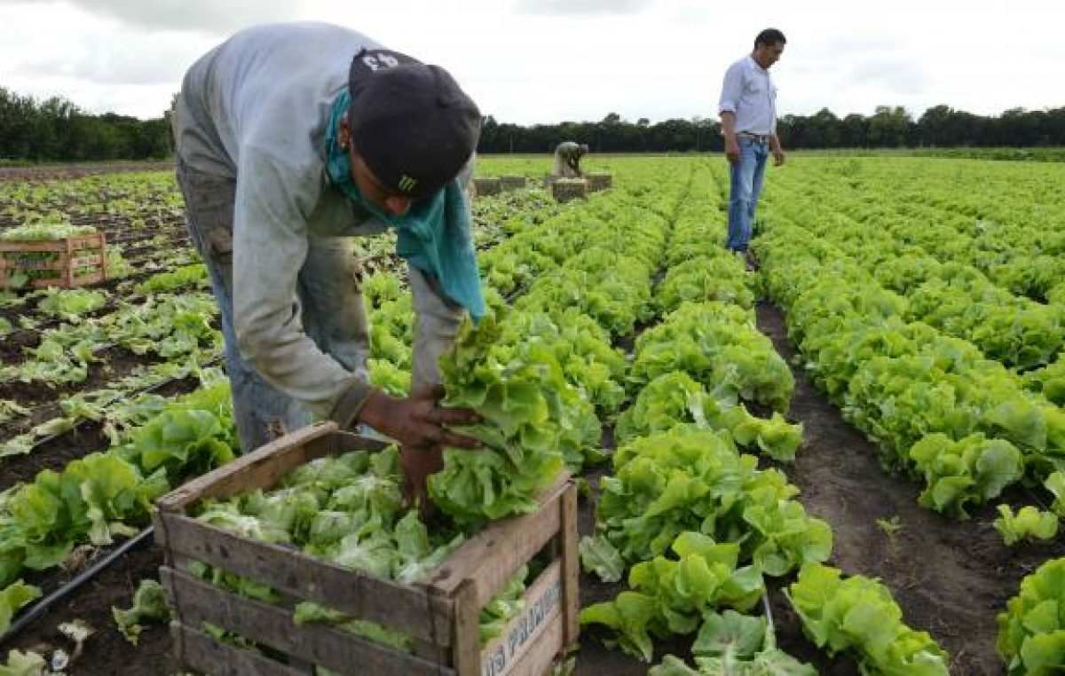 Agroquímicos: duro informe ante la ONU por inacción del Estado