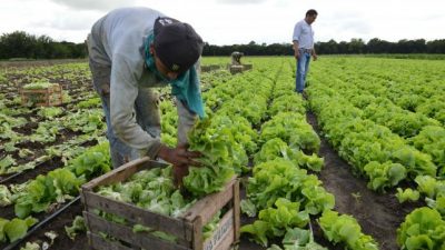 Agroquímicos: duro informe ante la ONU por inacción del Estado