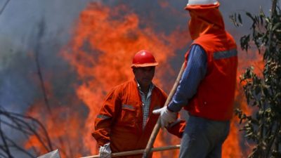 Importantes incendios provocaron el mayor desastre forestal de la historia de Chile