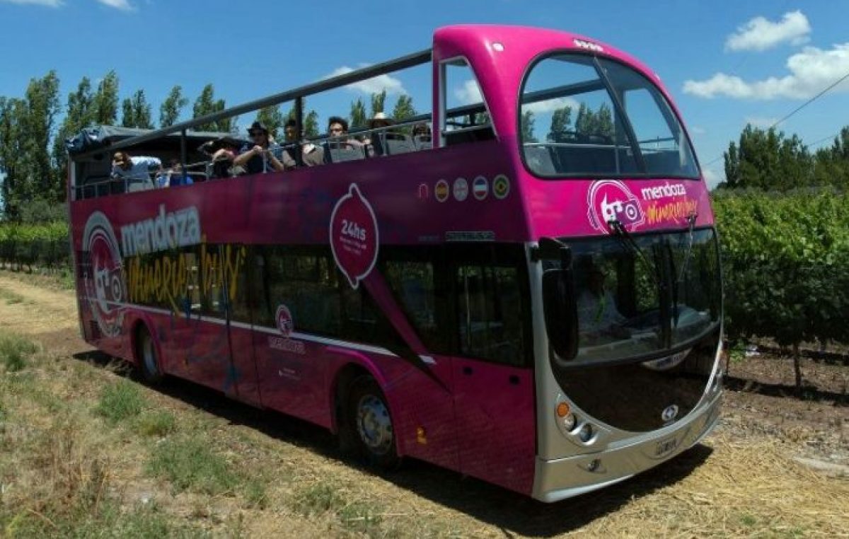 Mendoza: un viaje al corazón del vino en un bus turístico sin techo