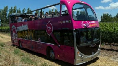 Mendoza: un viaje al corazón del vino en un bus turístico sin techo