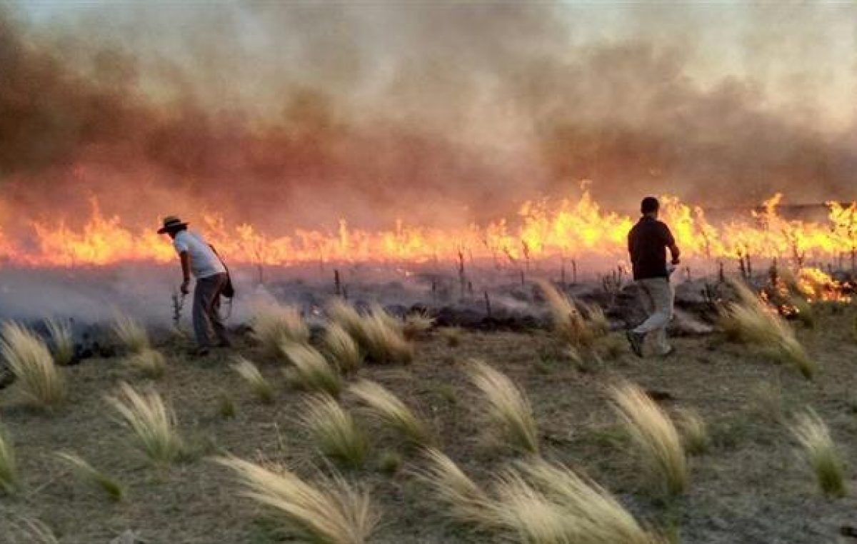 Incendios en la Provincia: Declararon la emergencia agropecuaria en 10 municipios Bonaerenses
