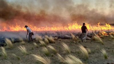 Incendios en la Provincia: Declararon la emergencia agropecuaria en 10 municipios Bonaerenses