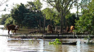 Fondos de ATN para municipios chaqueños afectados por inundaciones
