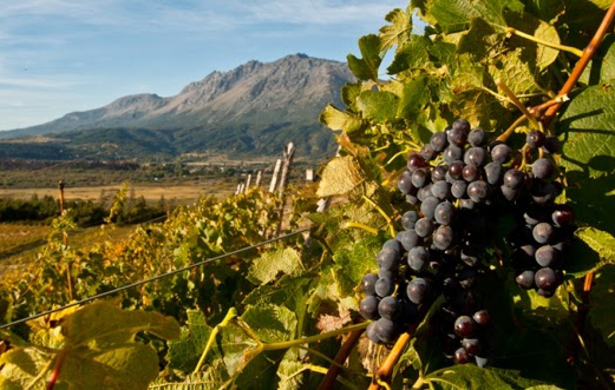 Planifican la futura “Ruta del Vino” en localidades de Chubut