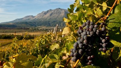 Planifican la futura “Ruta del Vino” en localidades de Chubut