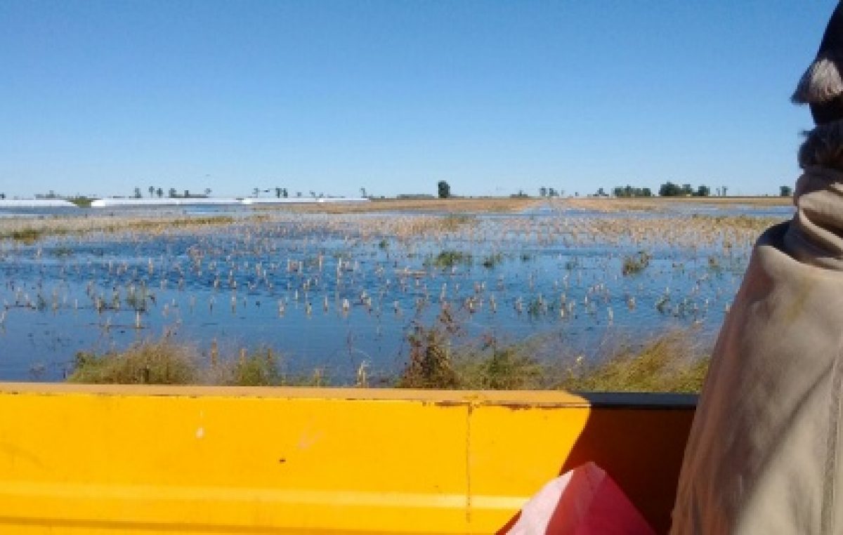 Una localidad de Villegas ya perdió cinco mil millones de pesos a causa de inundaciones