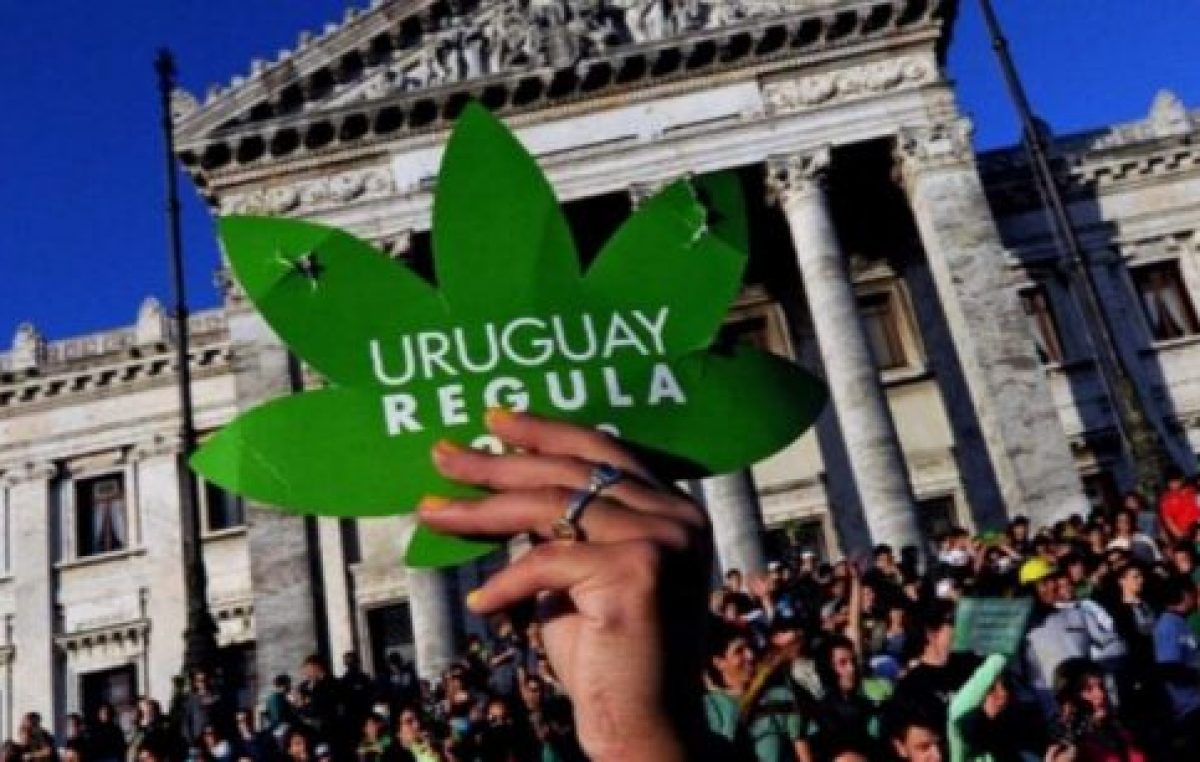 Uruguay comenzará a vender marihuana al público en farmacias