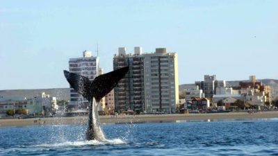 Puerto Madryn es Municipio No Nuclear desde el año 1991