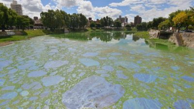 Cloacas de 20 localidades cordobesas contaminan la cuenca del San Roque
