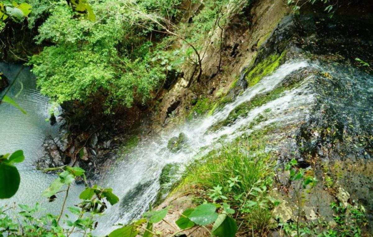 El parque provincial de la Sierra de San José un lugar para aventurarse en la selva