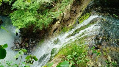 El parque provincial de la Sierra de San José un lugar para aventurarse en la selva