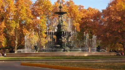 Mendoza tiene un árbol por cada 2,5 habitantes