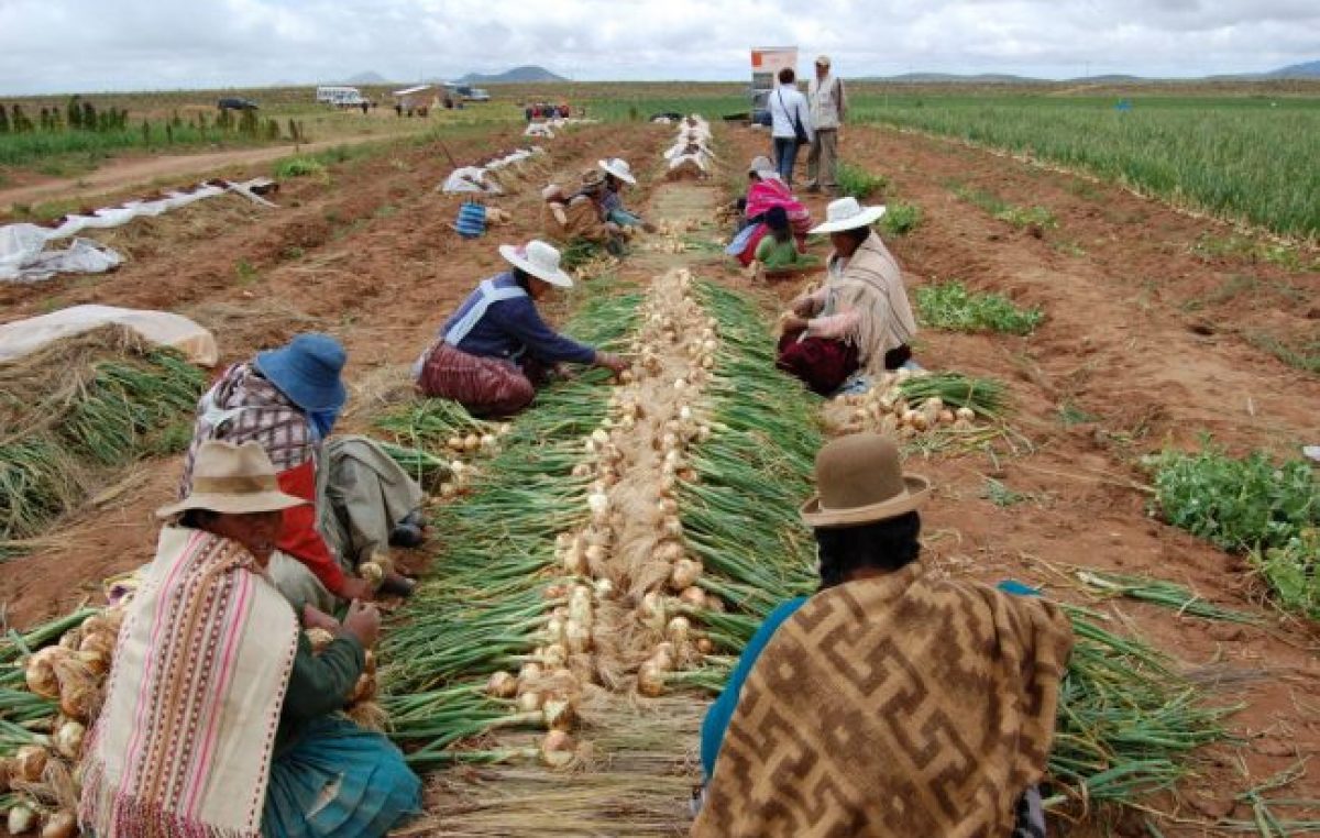 Bolivia produce el 95% de los alimentos que consume