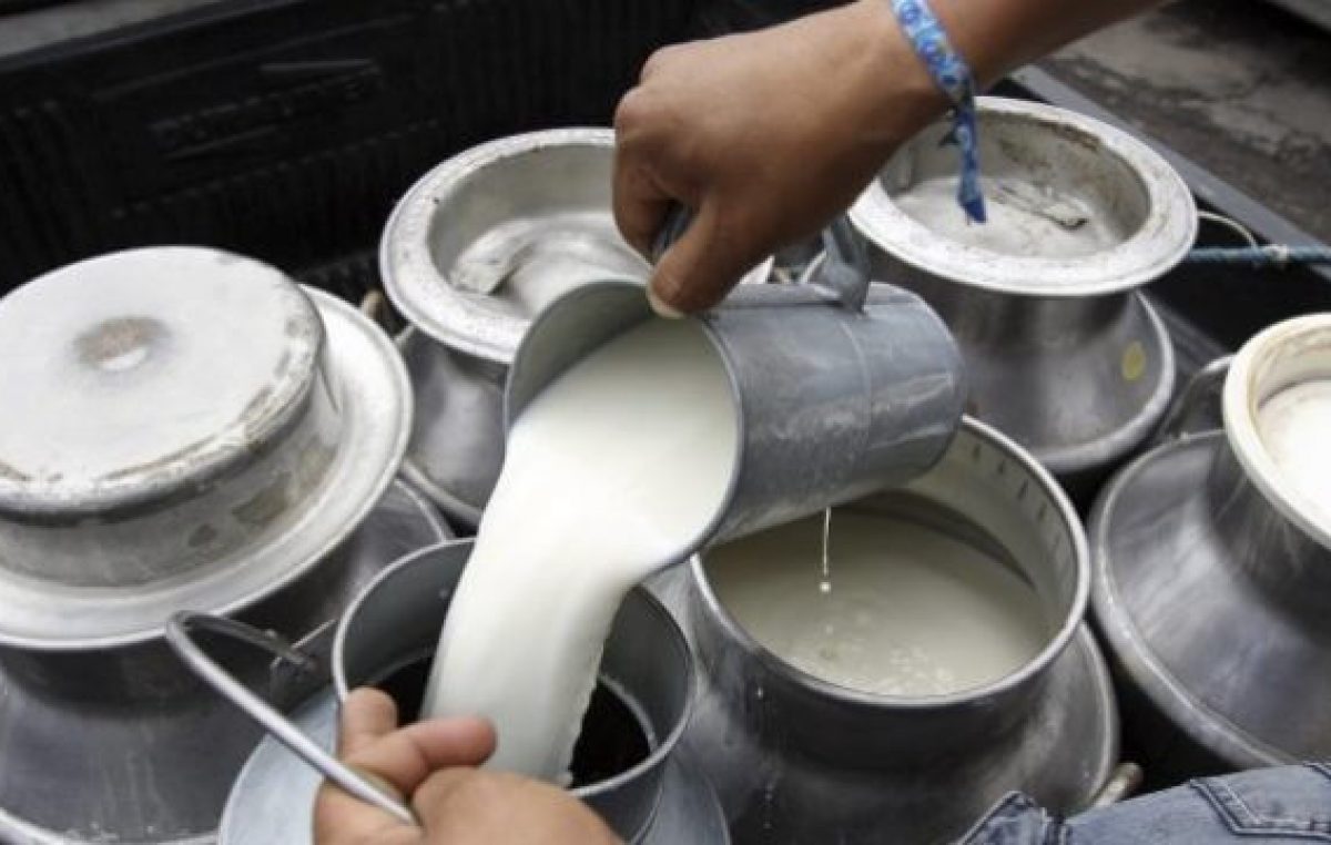 Tamberos de San Basilio se unen para producir una leche a bajo costo