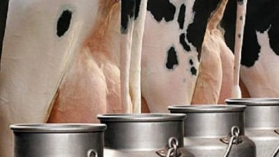 Argentina es el segundo país con la leche más cara del mundo
