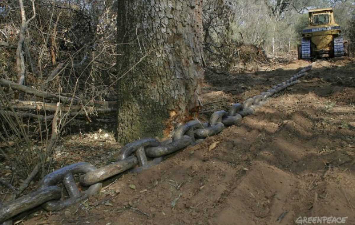 Donde pasa no crece más el verde