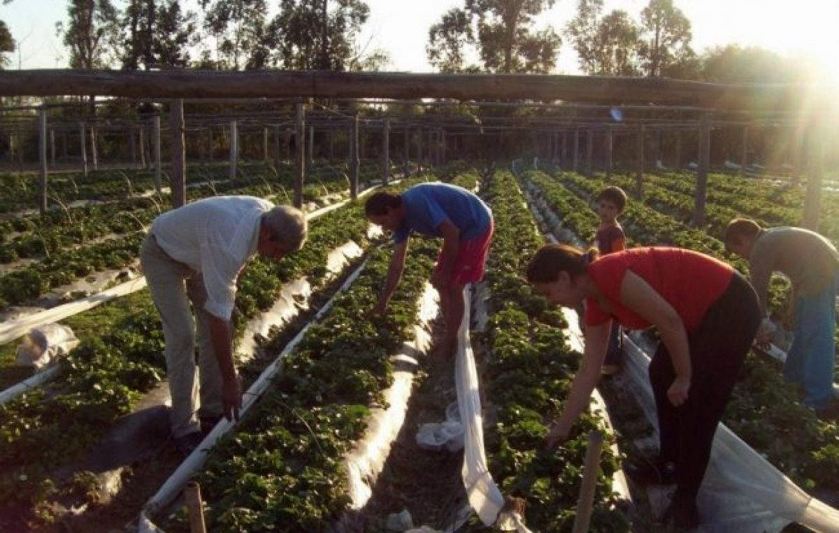 Campo para pocos: el Gobierno dejó sin ayuda a miles de pequeños productores rurales