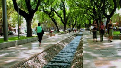 Acequias a la vista, por los árboles y fisonomía de Mendoza