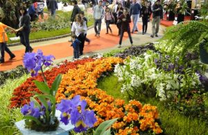 Polémica y enojo: La Fiesta de la Flor de Escobar no será apoyada por el gobierno nacional