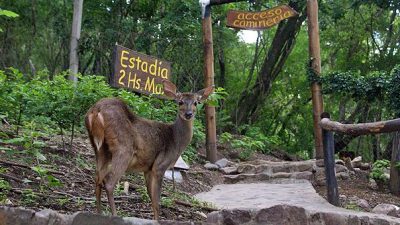 Reinauguraron el Parque Botánico Municipal de Jujuy