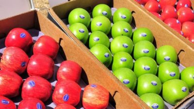 Brotes marchitos: las exportaciones de manzanas a Brasil cayeron un 58,4% interanual