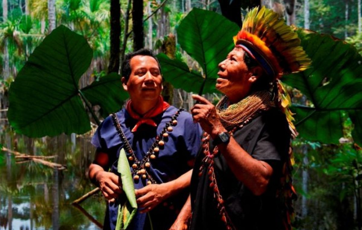 Las redes eléctricas aún no llegan a la Amazonia