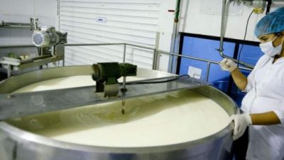 Para combatir la inflación y crear trabajo, el municipio de San Antonio de Areco abrirá una planta de lácteos