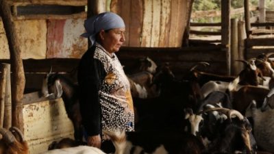 La alternativa: turismo rural comunitario en Salta