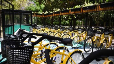 Movete en bici: Los platenses ya pueden pedir una bicicleta prestada en el Bosque